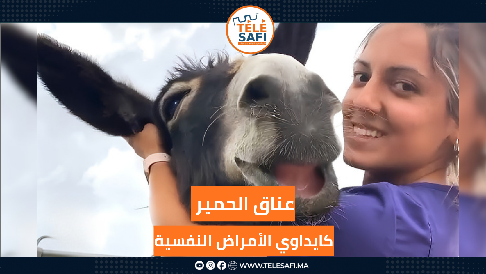 جلسة عناق مع حمار… من أغرب طرق محاربة الاكتئاب !